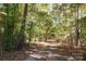 Trail through a wooded area, offering seclusion at 1111 & 1075 Turkey Creek Ridge Rd, York, SC 29745