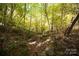 Rocky, wooded lot with lush undergrowth at 1111 & 1075 Turkey Creek Ridge Rd, York, SC 29745