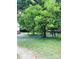 Landscaped yard with mature trees at 115 S Pearl St, Troy, NC 27371