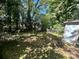 Overgrown backyard with mature trees and a chain link fence at 1115 Harrill St, Charlotte, NC 28205