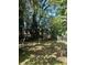 Wooded backyard with a chain link fence and mature trees at 1115 Harrill St, Charlotte, NC 28205