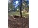 Backyard with trees, grass, and playset in the distance at 3238 Campbell Dr, Charlotte, NC 28205
