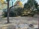 Spacious backyard with firepit and trees at 7915 Willows Pond Ct, Charlotte, NC 28277