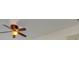Close-up view of a ceiling fan with light kit at 620 Smokehouse Ln, Albemarle, NC 28001