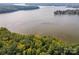 Aerial view of waterfront property with lush trees at 1010 Kingbird Ln, Clover, SC 29710