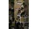 Aerial view of property and surrounding homes at 961 Shallowbrook Dr, Chester, SC 29706
