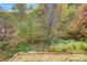Wooded backyard landscape view at 7006 Garden Hill Dr, Huntersville, NC 28078