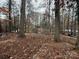 Wooded backyard with leaf covered ground at 3995 Burton Ln, Denver, NC 28037