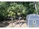 Backyard view showcasing a shed and palm trees at 3995 Burton Ln, Denver, NC 28037