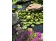 Serene koi pond with water lilies, rocks, and purple flowers at 113 Winding Brook Way, Statesville, NC 28625