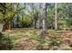 Wooded backyard with mature trees and grassy area at 1047 Ebenezer Avenue Ext, Rock Hill, SC 29732