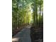 Paved walking trail winding through a lush wooded area at 330 Forsythia Ln, Tega Cay, SC 29708