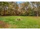 Large grassy backyard with trees at 627 Brevard St, Statesville, NC 28677