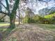 Large backyard with mature trees and lush greenery at 215 Mellwood Dr, Charlotte, NC 28214