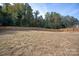Large backyard with wooden fence and grassy area at 9000 Boyd Dr, Matthews, NC 28105