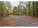 Driveway leading to a rustic cabin in the woods at 2224 Taylor Rd, Shelby, NC 28152