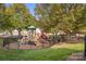 playground with play structures and swings at 14108 Tooley St, Huntersville, NC 28078