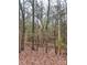 Wooded lot with dense tree coverage and leaf litter at 1176 Great Falls Hwy, Chester, SC 29706