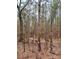 Wooded area with marked trees at 1178 Great Falls Hwy, Chester, SC 29706