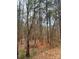 Wooded area with mature trees at 1178 Great Falls Hwy, Chester, SC 29706