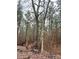 Mature trees in wooded area at 1178 Great Falls Hwy, Chester, SC 29706
