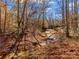 Picturesque autumn woodland scene with a stream running through it at 4180 2Nd Ne St, Hickory, NC 28601