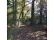 Partially fenced backyard with mature trees and leaf-covered ground at 441 Holly Cir, Mount Holly, NC 28120