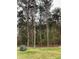 Wooded lot with tall pine trees and a large dark rock at 3010 Forbes Rd, Gastonia, NC 28056