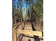 Wooded backyard with a long, fenced path at 1627 Peden Bridge Rd, Chester, SC 29706