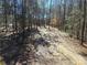 Path through a wooded area at 1627 Peden Bridge Rd, Chester, SC 29706