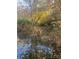 Tranquil creek reflecting fall colors in a wooded area at 2818 Rockford Rd, Shelby, NC 28152