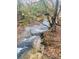 Small creek flows over rocks in wooded area at 2818 Rockford Rd, Shelby, NC 28152