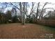 Large backyard with mature trees and a wooden fence at 3217 Enfield Rd, Charlotte, NC 28205