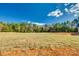 Spacious backyard with open field views and tree line at 636 Edwards Rd, Fort Lawn, SC 29714