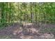 Wooded lot with mature trees and ground cover at 4271 Candlewood Dr, Sherrills Ford, NC 28673