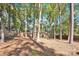 Wooded backyard with a fenced-in area at 11116 Vista Canyon Dr, Charlotte, NC 28226