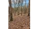 Wooded area with leaf covered ground at 2484 Shelton Ave, Statesville, NC 28677