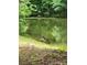 Serene pond view with lush green surroundings at 2484 Shelton Ave, Statesville, NC 28677