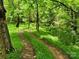 Peaceful wooded area with a trail leading through lush greenery at 2484 Shelton Ave, Statesville, NC 28677