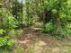 Private wooded area with a marked trail entrance at 2484 Shelton Ave, Statesville, NC 28677