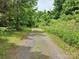 Gravel path leads into a wooded area with lush foliage at 2484 Shelton Ave, Statesville, NC 28677