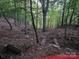 Wooded area with natural terrain and trees at 2484 Shelton Ave, Statesville, NC 28677