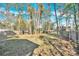 Spacious backyard with large grassy area and mature trees at 6920 Stillmeadow Dr, Charlotte, NC 28277