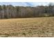 Open land with trees in background at 143 Ponokah Ln, Statesville, NC 28677