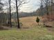 View of open land from a hill at 143 Ponokah Ln, Statesville, NC 28677