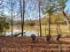 Serene lakefront view with dock and comfortable seating at 294 Carroll Cv, Clover, SC 29710