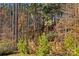 Wooded area behind the property providing a natural backdrop at 140 Falls Cove Dr, Troutman, NC 28166