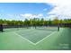 Two well-lit pickleball courts ready for play at 4022 Blackburn Ct, Fort Mill, SC 29707