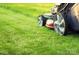 Green lawn ready for mowing at 7329 Braswell Sw Dr, Concord, NC 28025