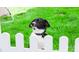 Cute dog looking over the white picket fence at 7329 Braswell Sw Dr, Concord, NC 28025